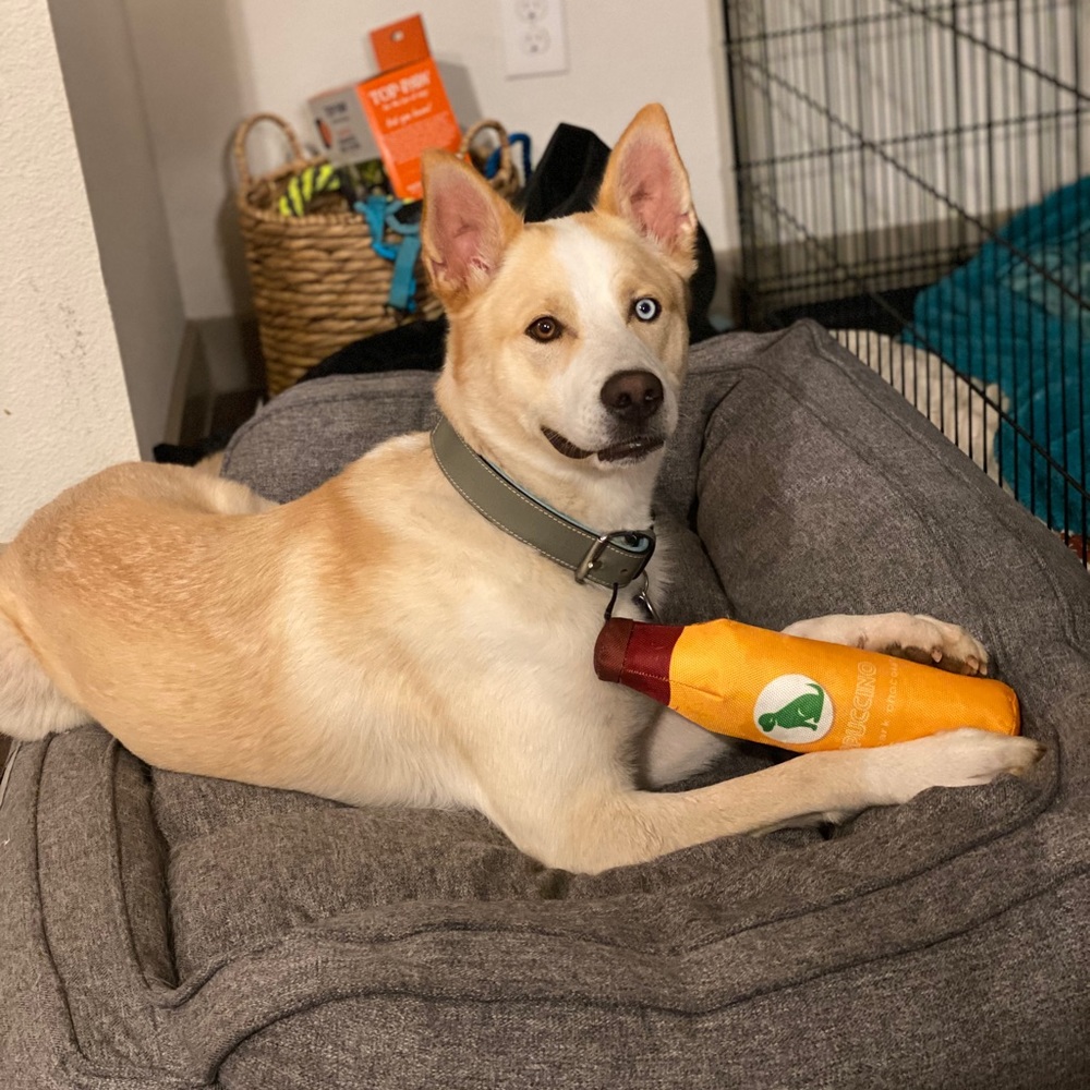 Meet your Posher, Lisa